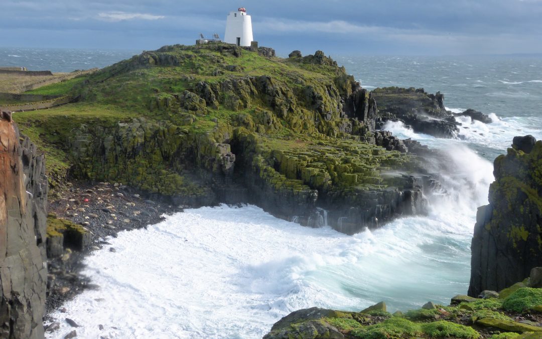 Isle of May with seals on beach