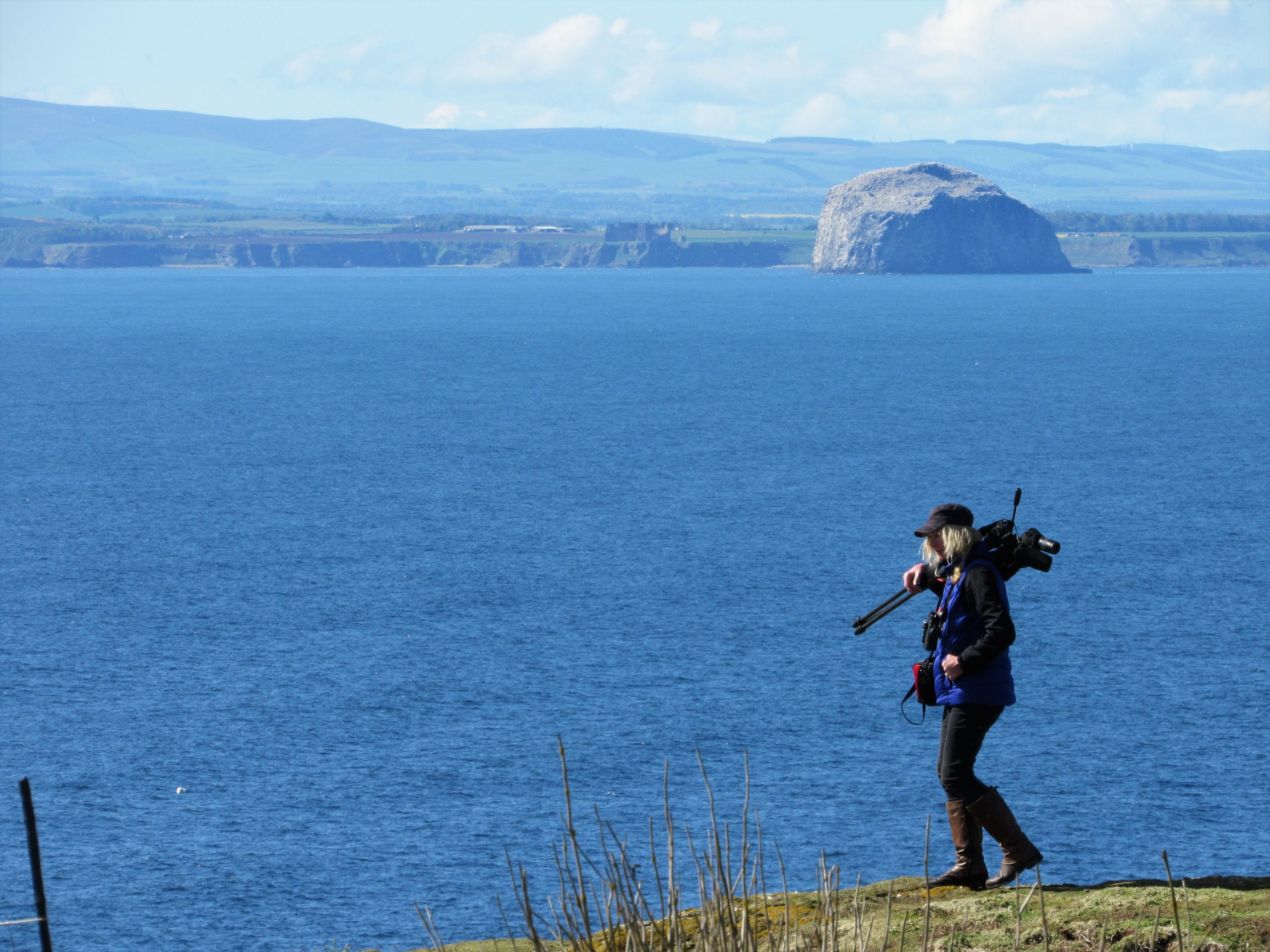 bass rock boat tours