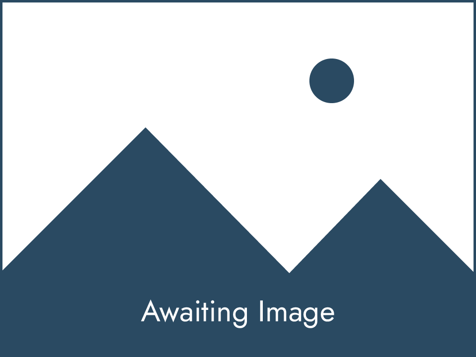 awaiting-image-placeholder